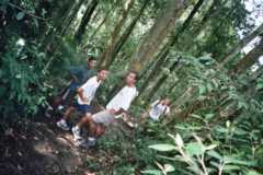 Cameron Highlands - Trekking 2