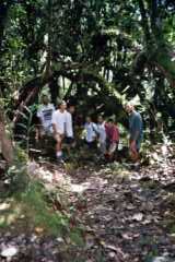 Cameron Highlands - Bajada de 1600 metros