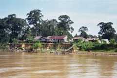 Sarawak, Borneo (camino de Kapit 2)