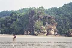 Sarawak, Borneo (Desembarque en Parque Nacional Bako 2)