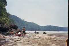 Sarawak, Borneo (Parque Nacional Bako, Playa Tajor)