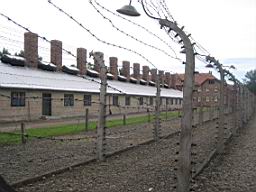 2726_Auschwitz.JPG
