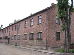 2732_Auschwitz.JPG