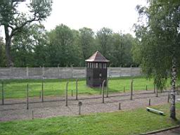 2738_Auschwitz.JPG
