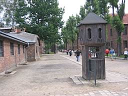 2743_Auschwitz.JPG