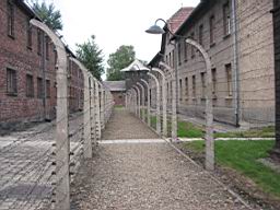 2746_Auschwitz.JPG