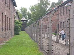2747_Auschwitz.JPG