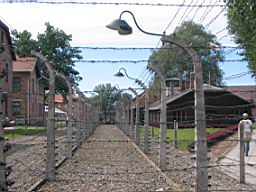 2754_Auschwitz.JPG