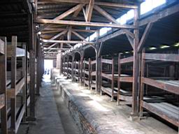 2764_Auschwitz.JPG