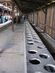 2768_Auschwitz.JPG