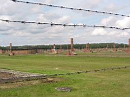 2769_Auschwitz.JPG