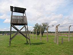 2770_Auschwitz.JPG