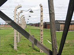 2771_Auschwitz.JPG
