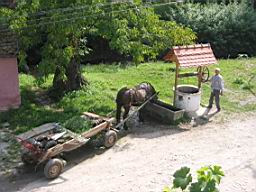 2950_Sibiel.JPG
