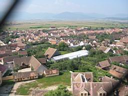 3077_Cristian.JPG