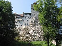 3161_Bran.JPG