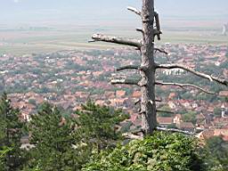 3166_Rasnov.JPG