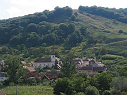 3291_Valea_Viilor.JPG
