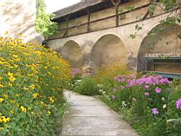 3293_Valea_Viilor.JPG