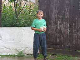 3295_Curciu.JPG