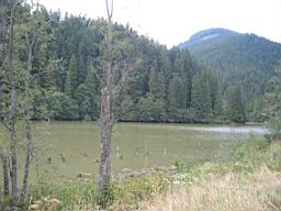 3317_Lacul_Rosu.JPG