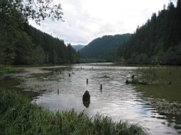 3318_Lacul_Rosu.JPG