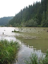 3321_Lacul_Rosu.JPG