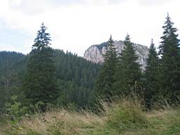 3322_Lacul_Rosu.JPG