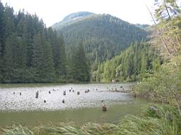 3323_Lacul_Rosu.JPG
