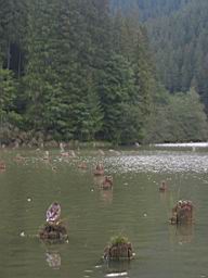 3327_Lacul_Rosu.JPG
