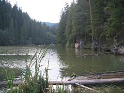 3331_Lacul_Rosu.JPG