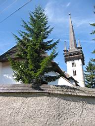 3363_Manastireni.JPG