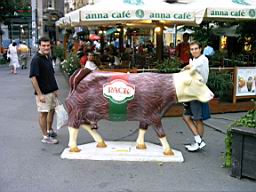 IMAG0158.JPG