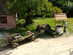 IMAG0170.JPG