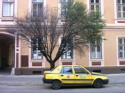 IMAG0189.JPG