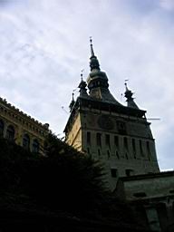 IMAG0221.JPG