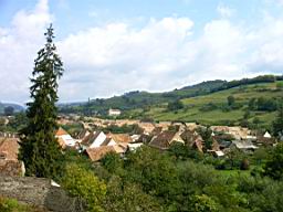 IMAG0223.JPG