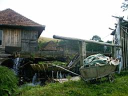 IMAG0235.JPG